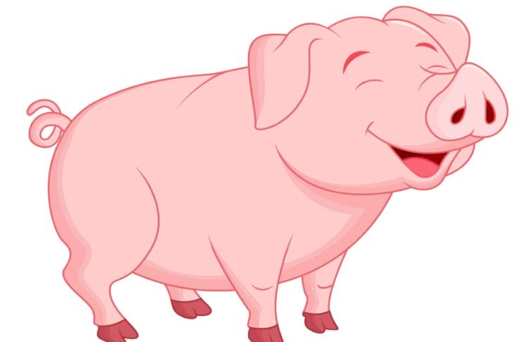 生肖猪2020年的财运怎么样83年的属猪人要注意了生肖猪风水八字同城网